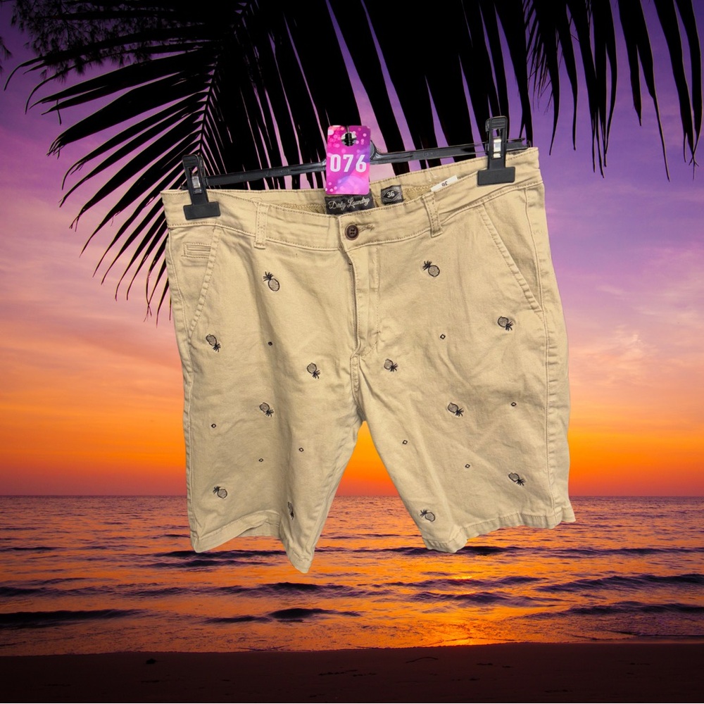 Dirty Laundry Pineapple Chino Casual Shorts Men’s Size 36 Embroidery Rare